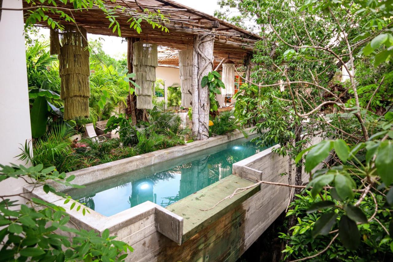 Orchid House Jungle 5*
