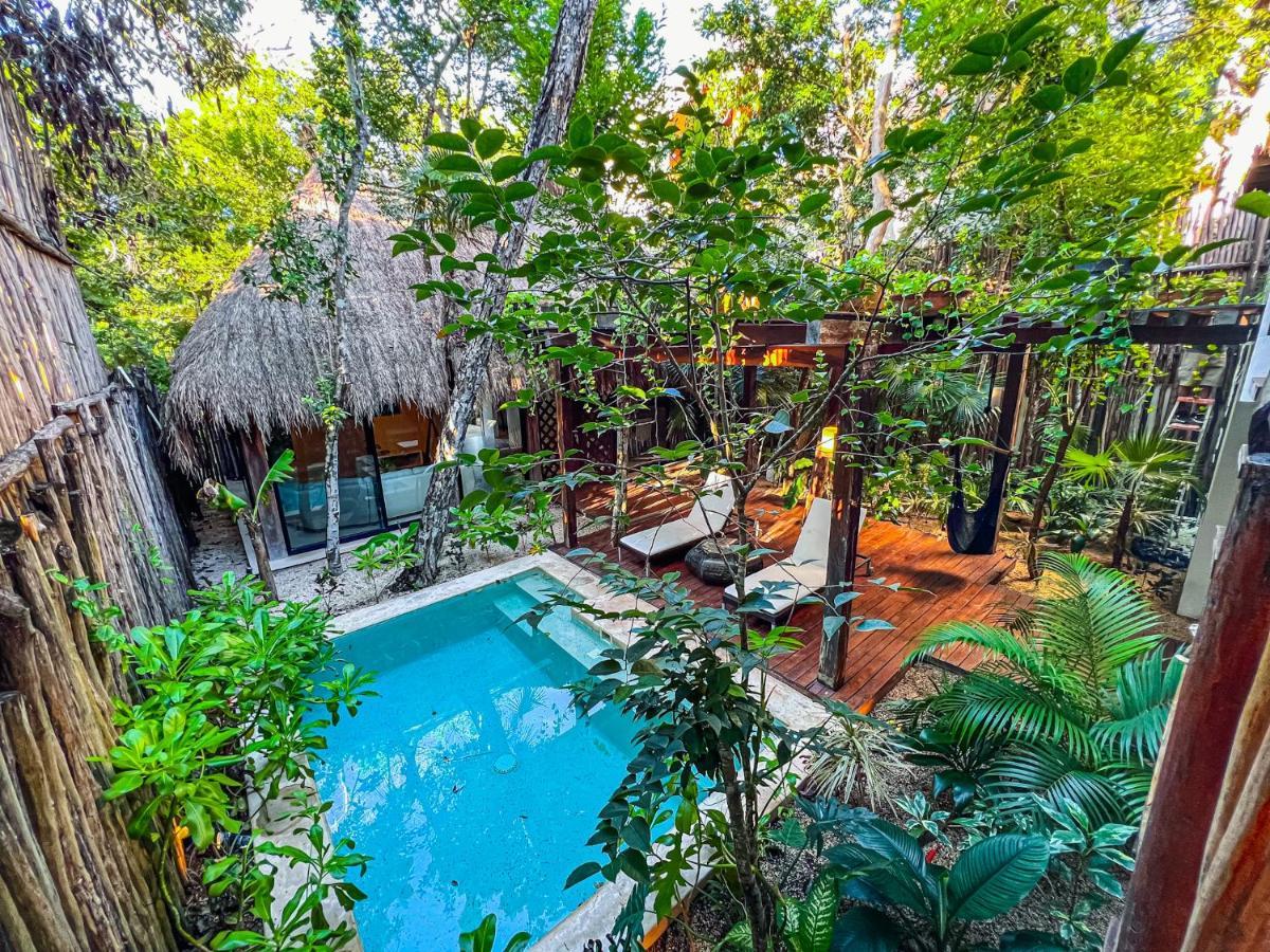 Orchid House Jungle 5*
