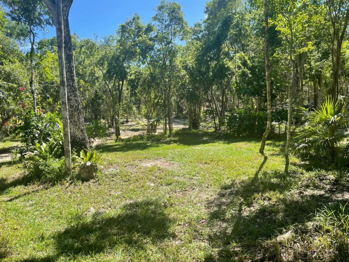 Glamping Bunga Lotus Camping Tulum