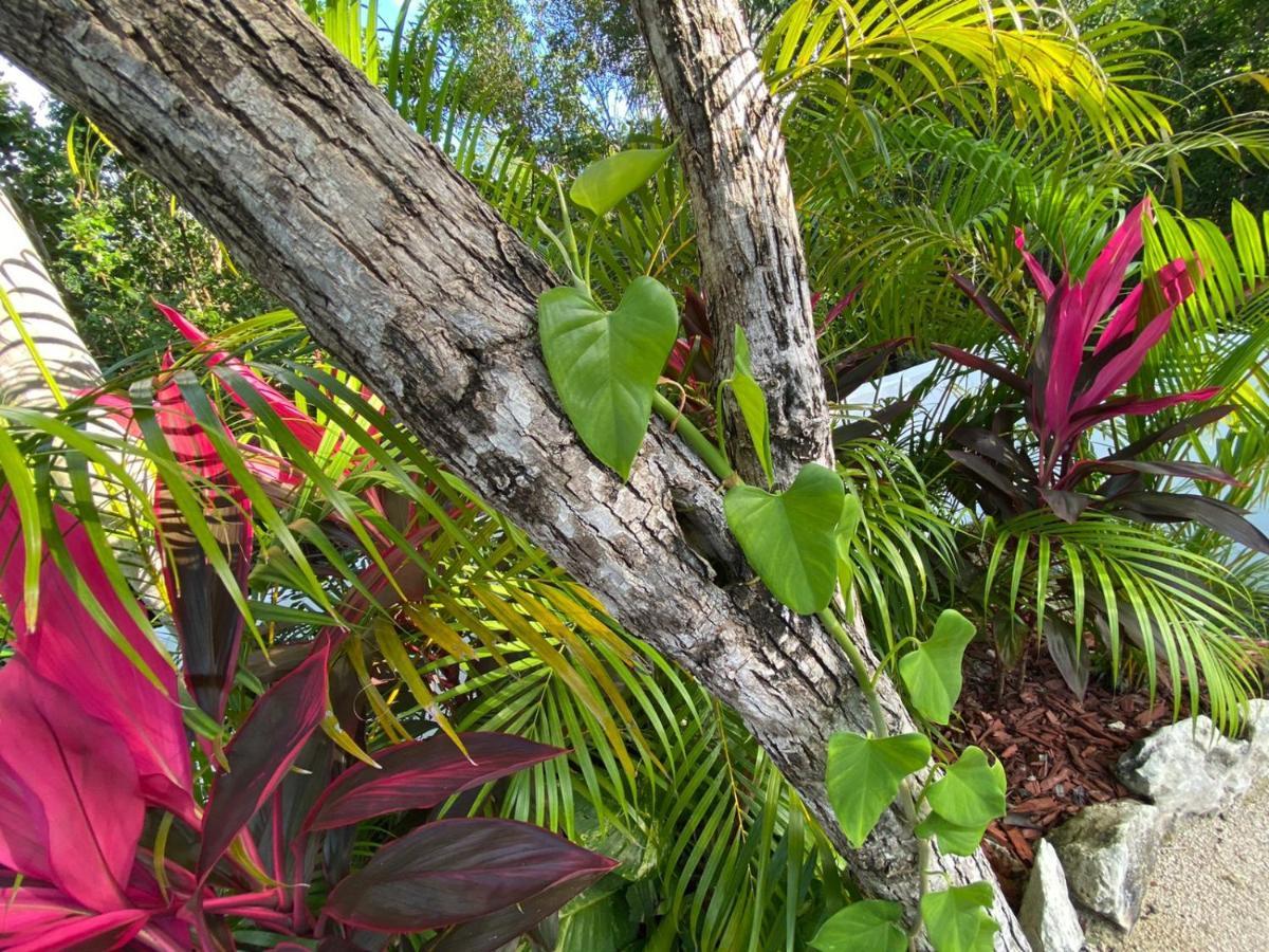 Amazing Inside Country Club Akumal Tulum