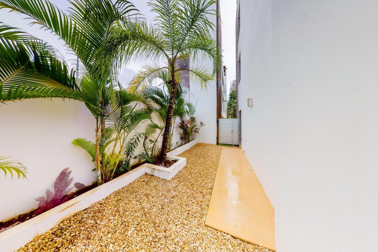 Xaman Apartment