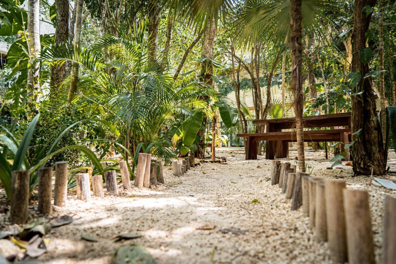 Casai - Private-pool Hideaway In La Veleta's Jungle Apartamento Tulum