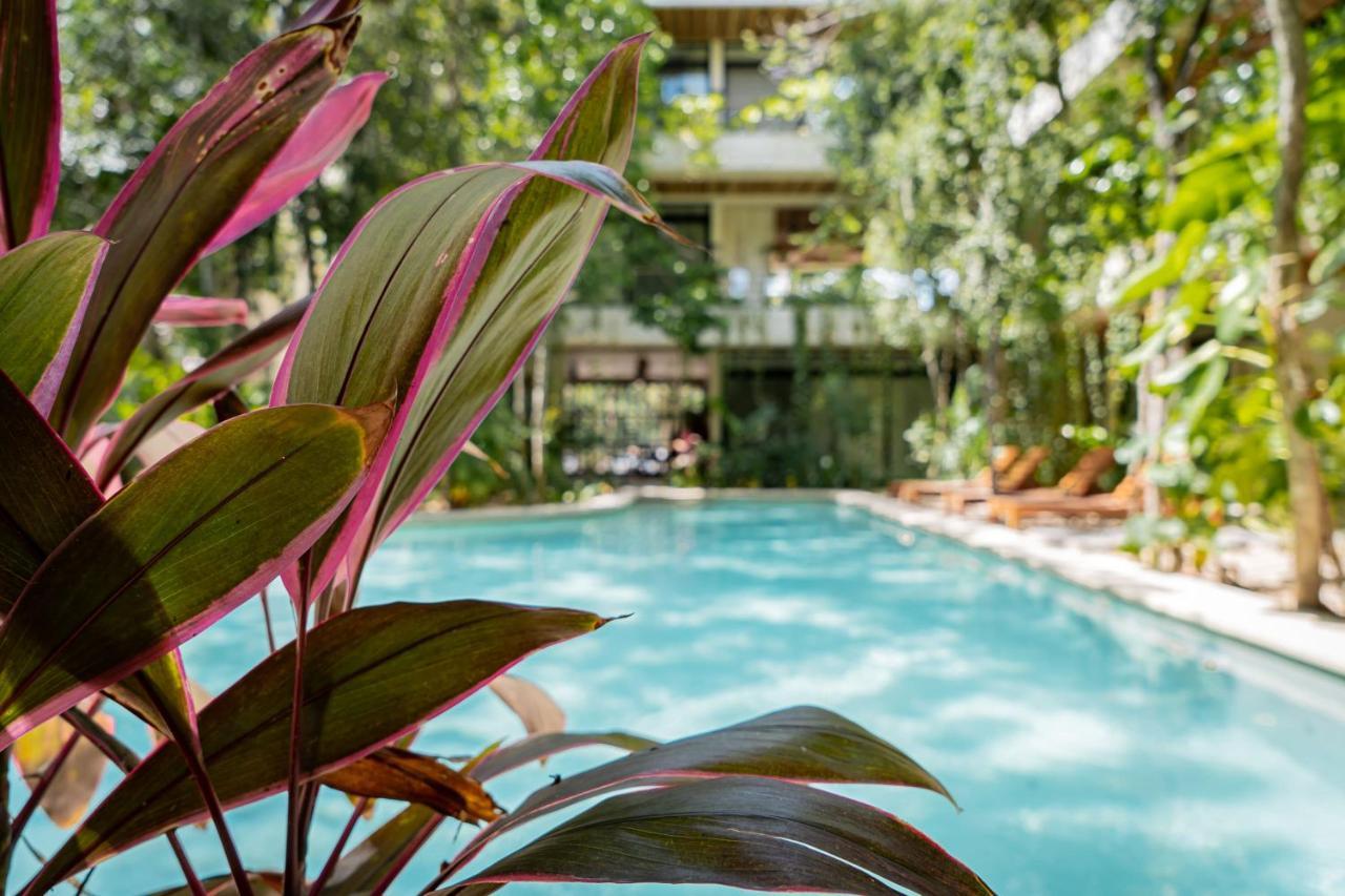 Casai - Private-pool Hideaway In La Veleta's Jungle