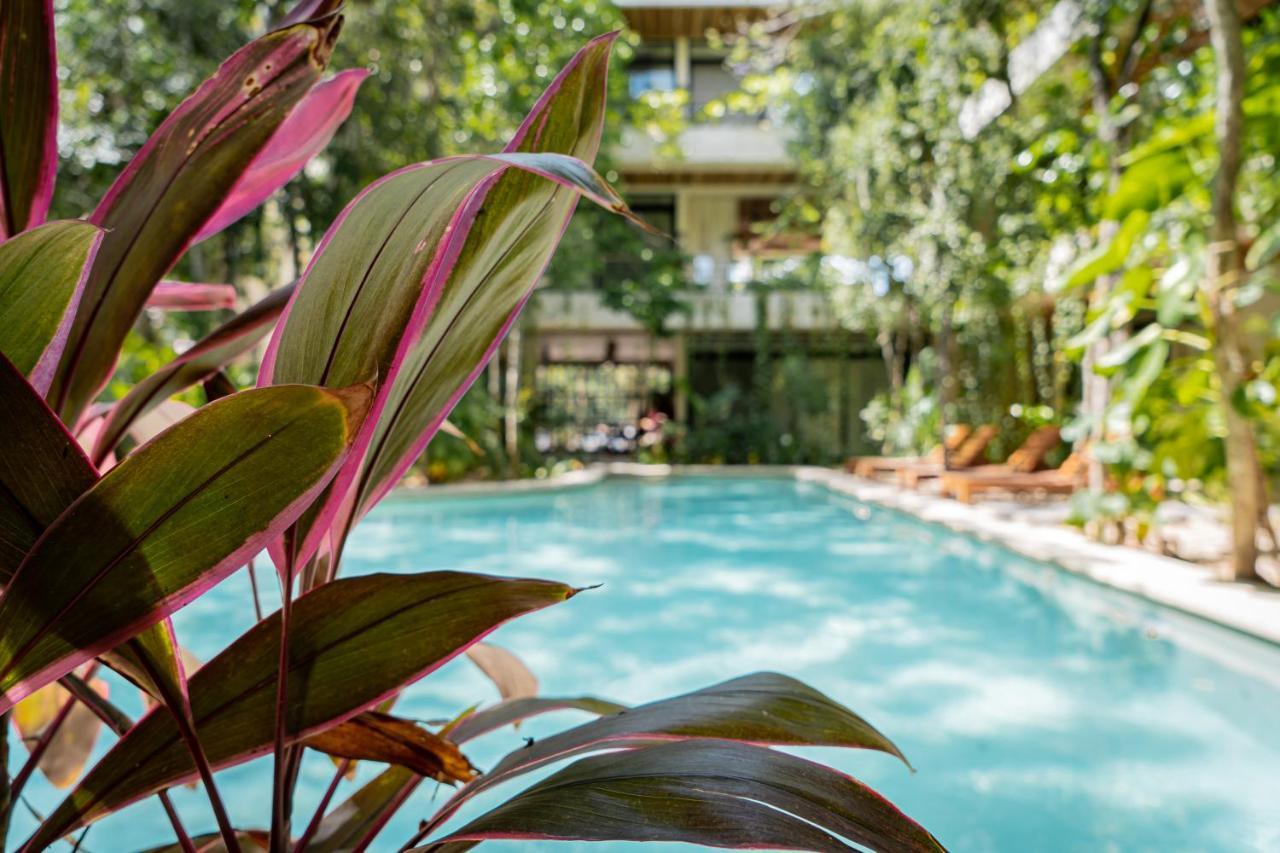 Casai - Bohemian Loft In Eco-chic Community La Veleta *
