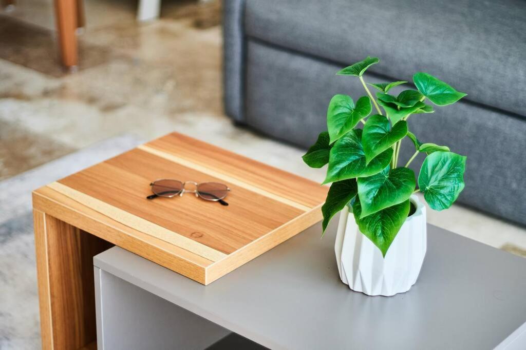 Elena 101 Beautiful One Bedroom In Aldea Zama Apartamento *