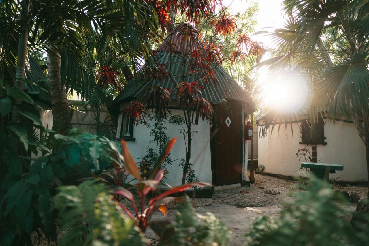 Oryx * Tulum