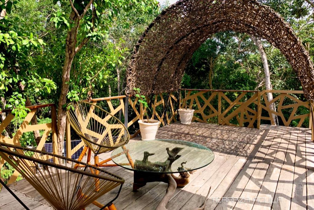 Bufo Alvarius Hotel Tulum