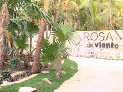 Rosa Del Viento