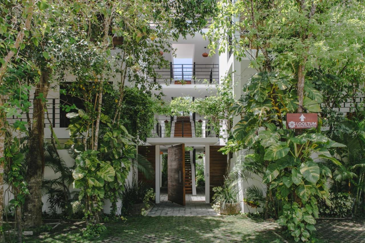 Lumina At Looltum Apartamento Tulum