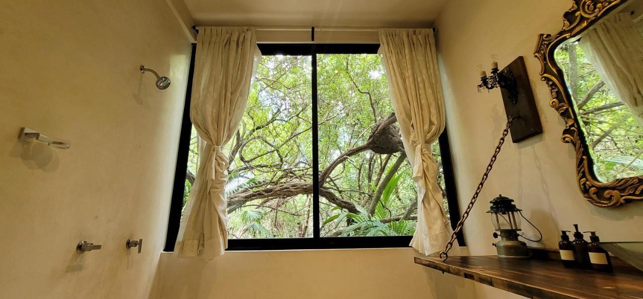 Hotel Casa Ambar & Boutique - Located In The Heart Of Zone (adults Only)