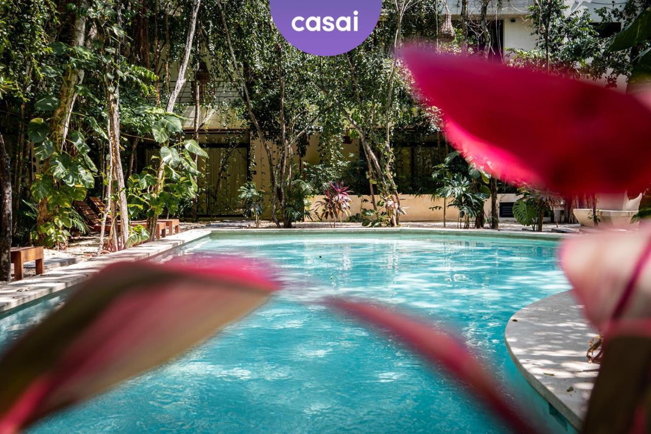 Casai - Bohemian Eco-loft In La Veleta, - 2 Pools, Gym