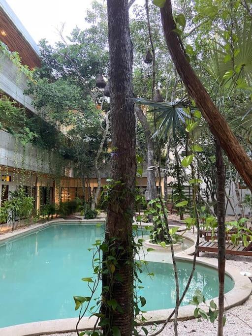 Apartahotel Etnica Residences - Luxury O *