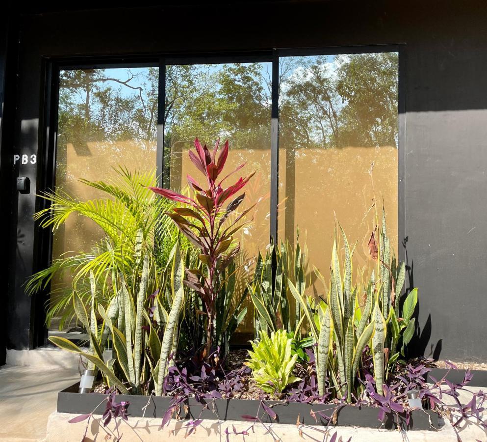 Eco-chic Halaken Apartment Tulum