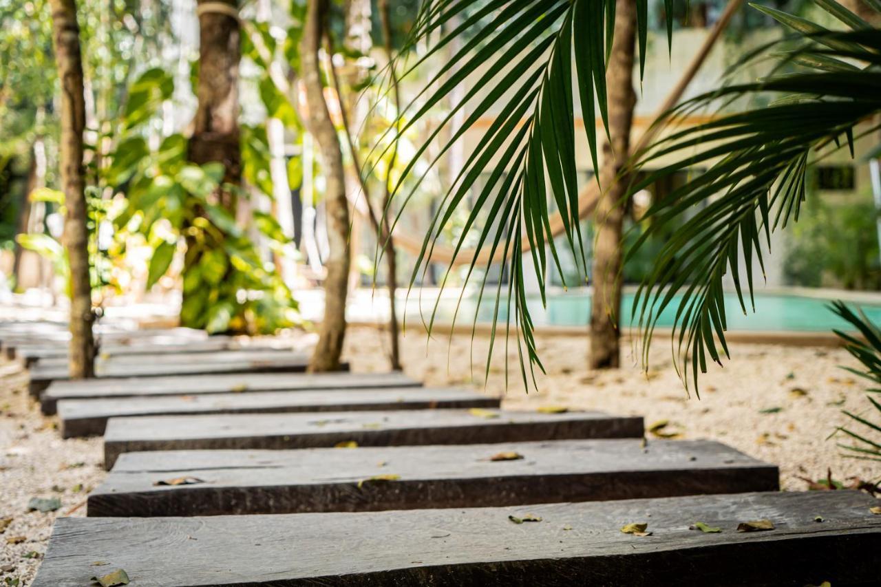 Casai - Private-pool Hideaway In La Veleta's Jungle * Tulum