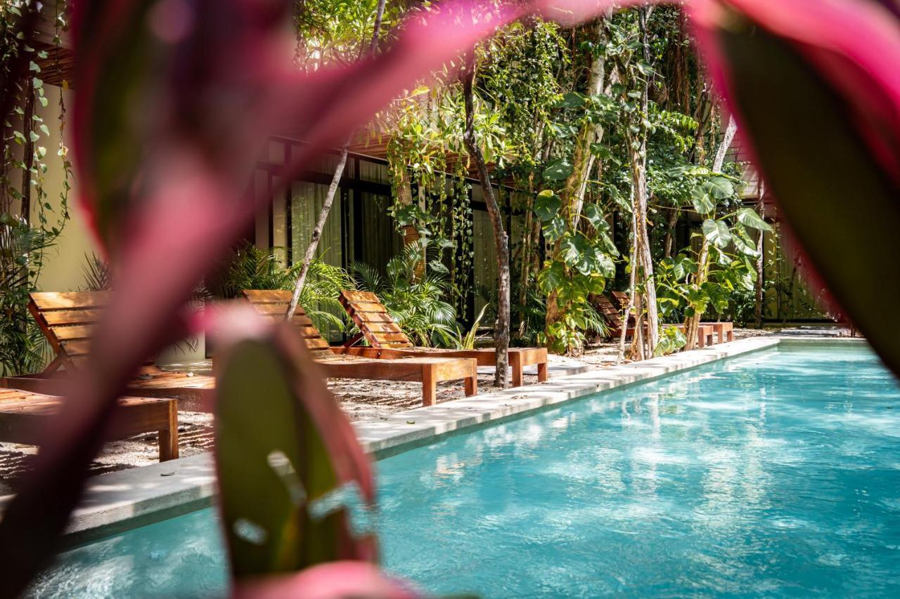 Casai - Private-pool Hideaway In La Veleta's Jungle * Tulum
