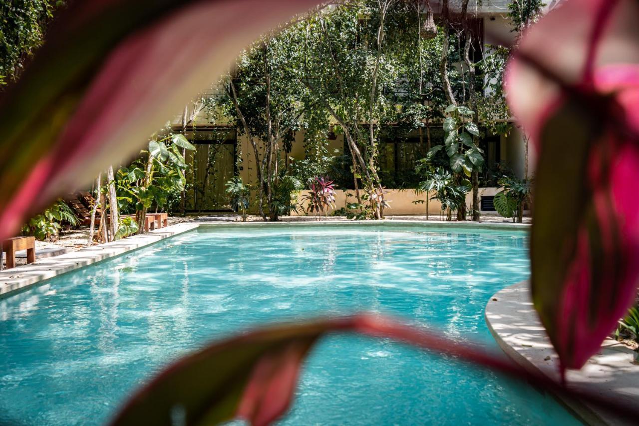 Casai - Private-pool Hideaway In La Veleta's Jungle Apartamento Tulum
