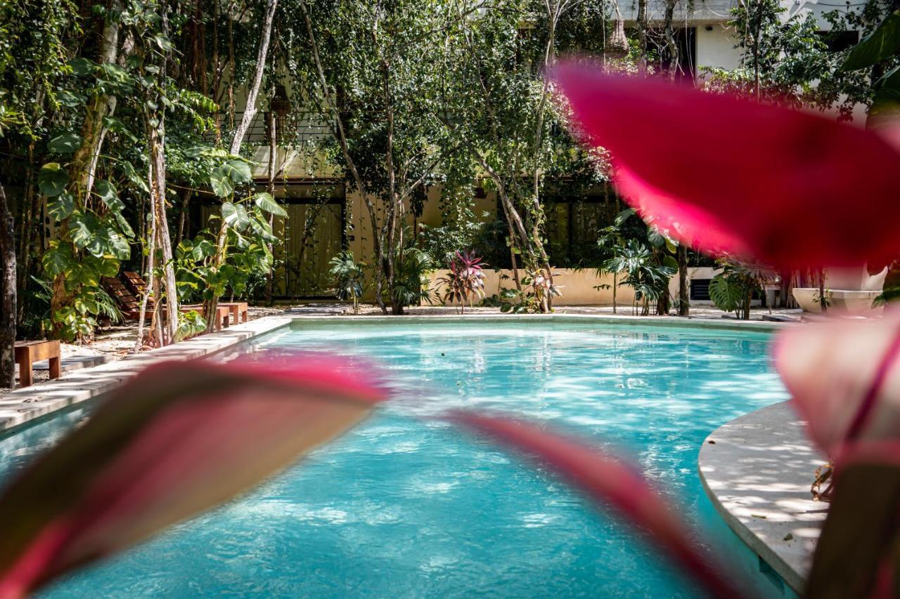 Apartamento Casai - Private-pool Hideaway In La Veleta's Jungle
