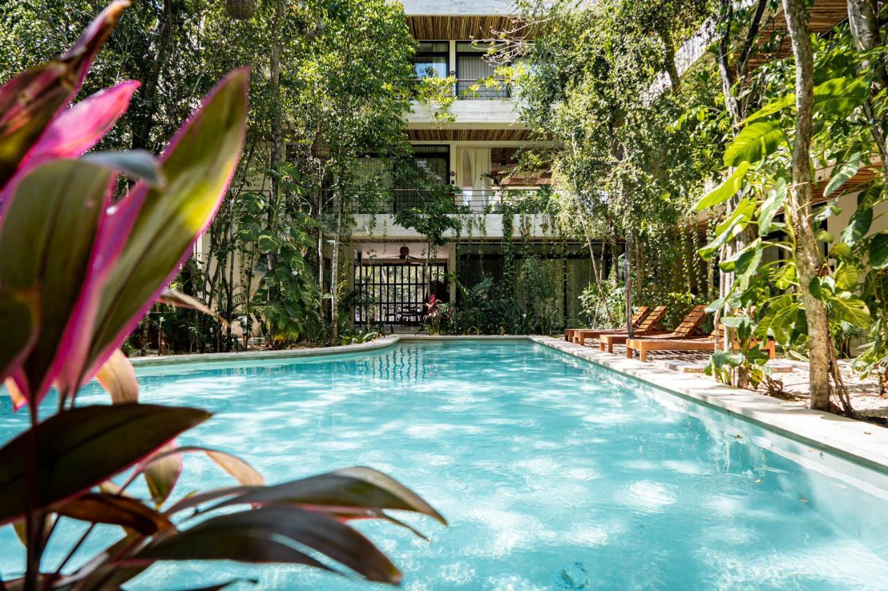 Casai - Private-pool Hideaway In La Veleta's Jungle