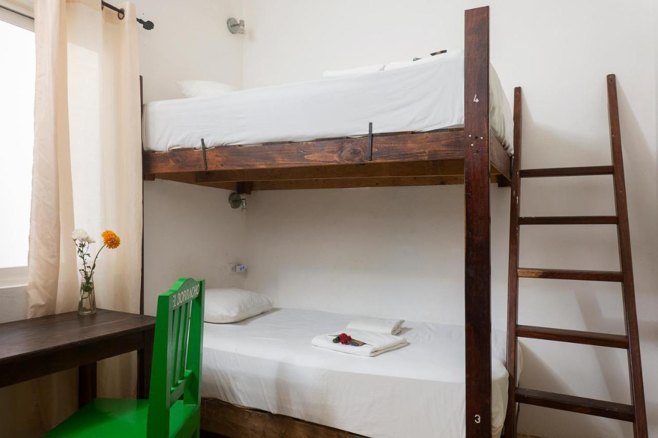 Casa Frida Сasa de vacaciones Tulum
