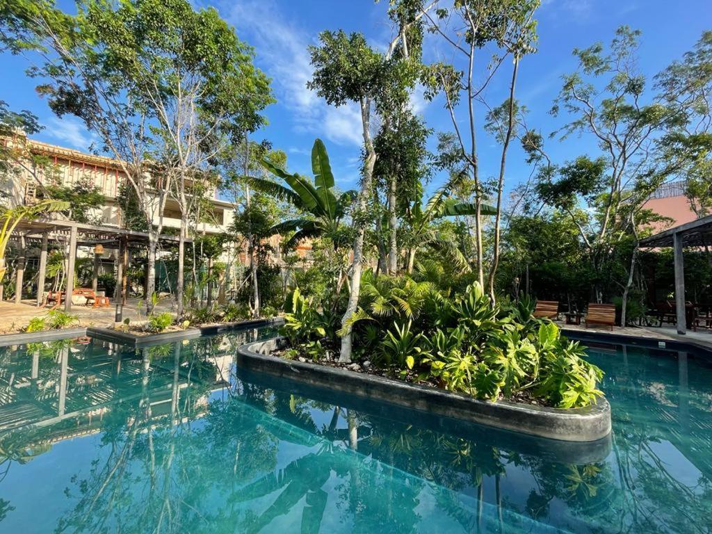 Aldea Savia By Andiani Travel * Tulum
