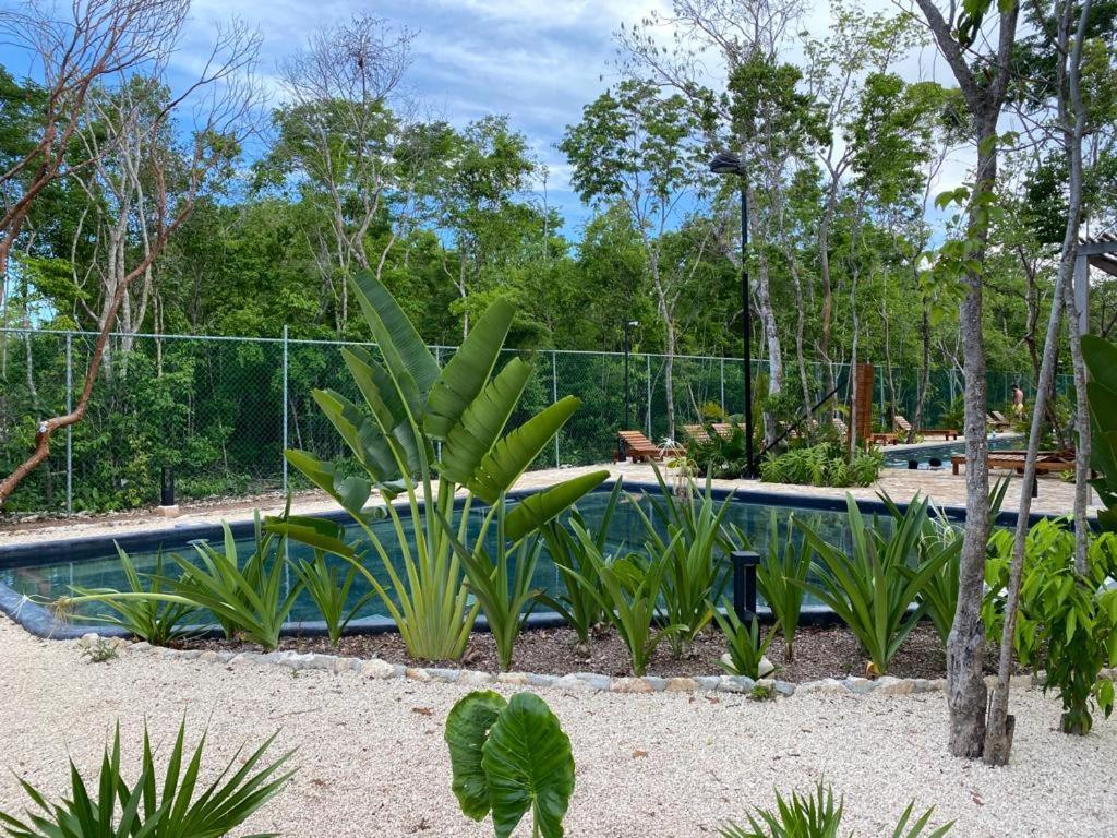 Aldea Savia By Andiani Travel Apartamento Tulum