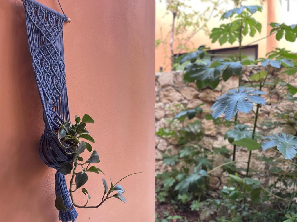 Aldea Savia By Andiani Travel Apartamento