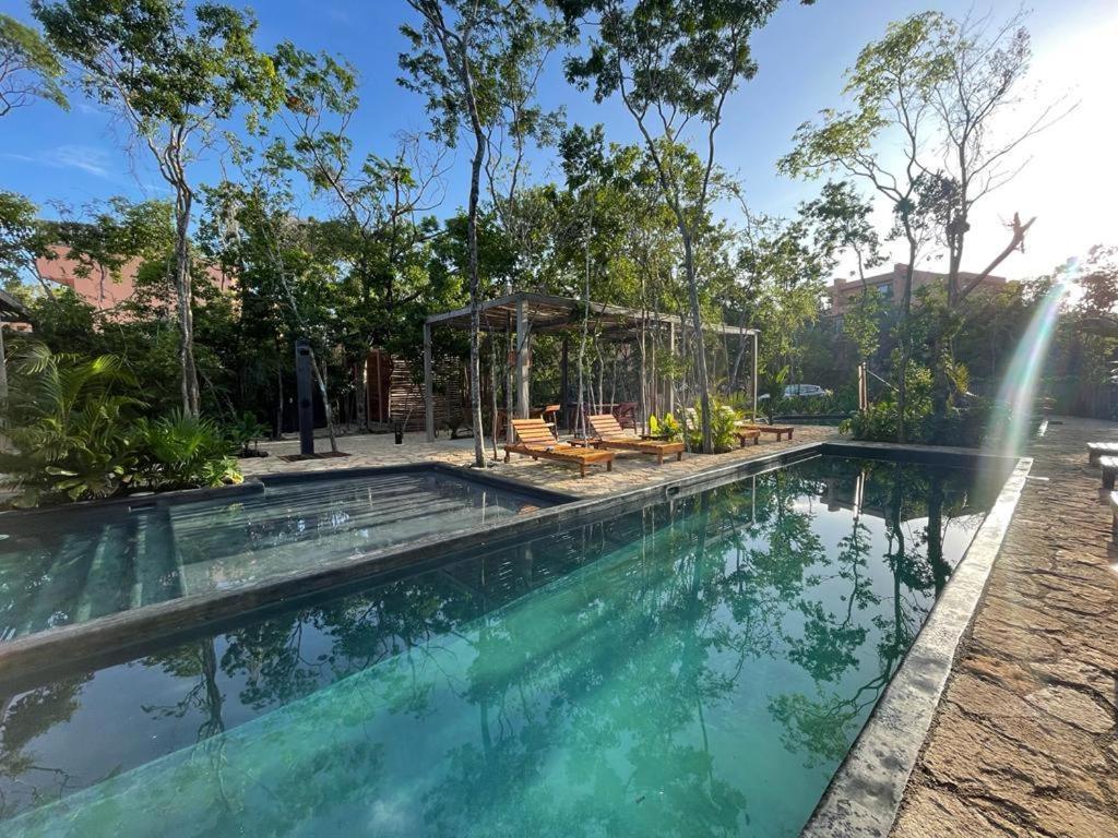 Aldea Savia By Andiani Travel * Tulum