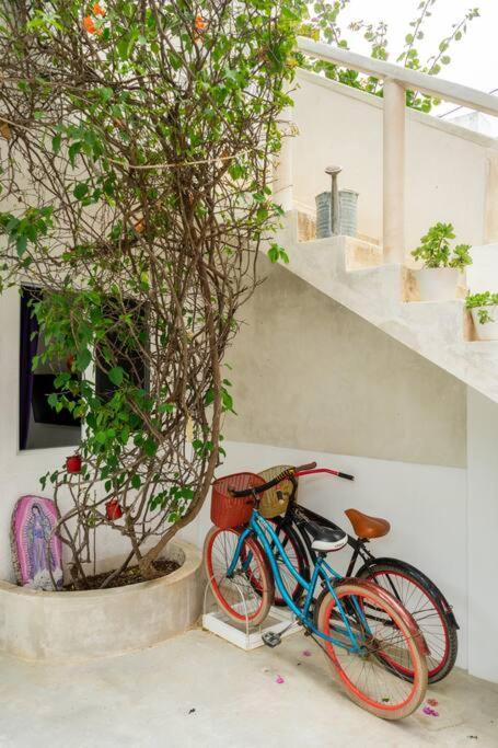 Roxie's Charming Art House, Great Location * Tulum