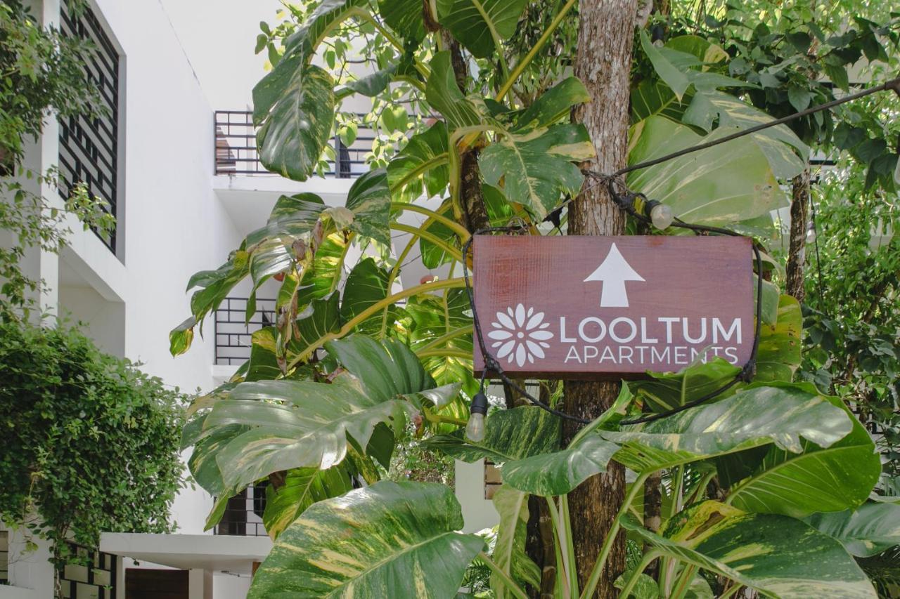 Lumina At Looltum