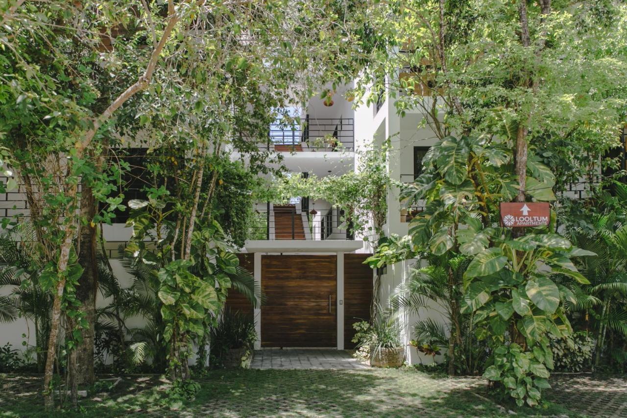 Apartamento Lumina At Looltum Tulum