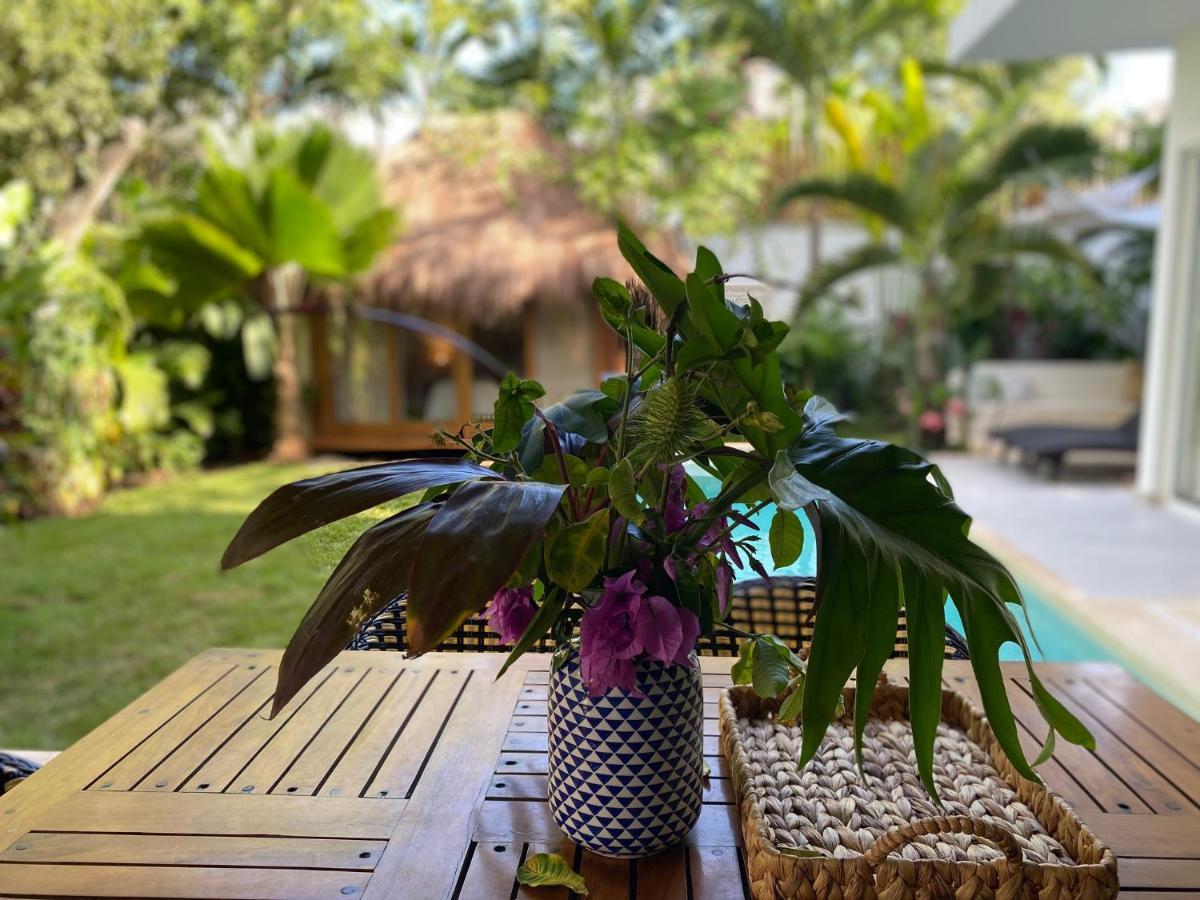 Villa Luxury Private , Private Pool, Private Garden, Jacuzzi, 24hours Security Tulum