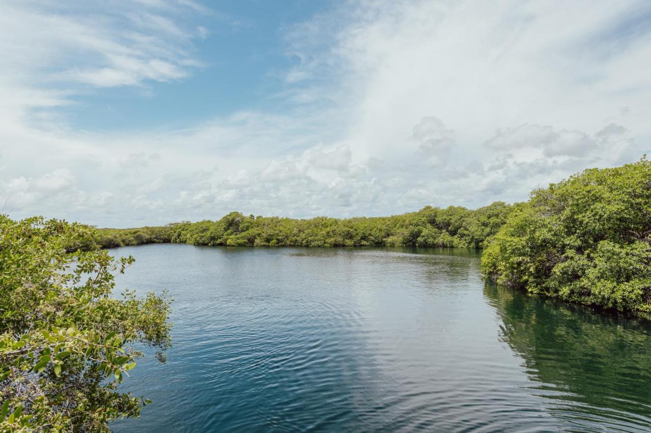 Lodge Yaxchen & Cenote Tulum