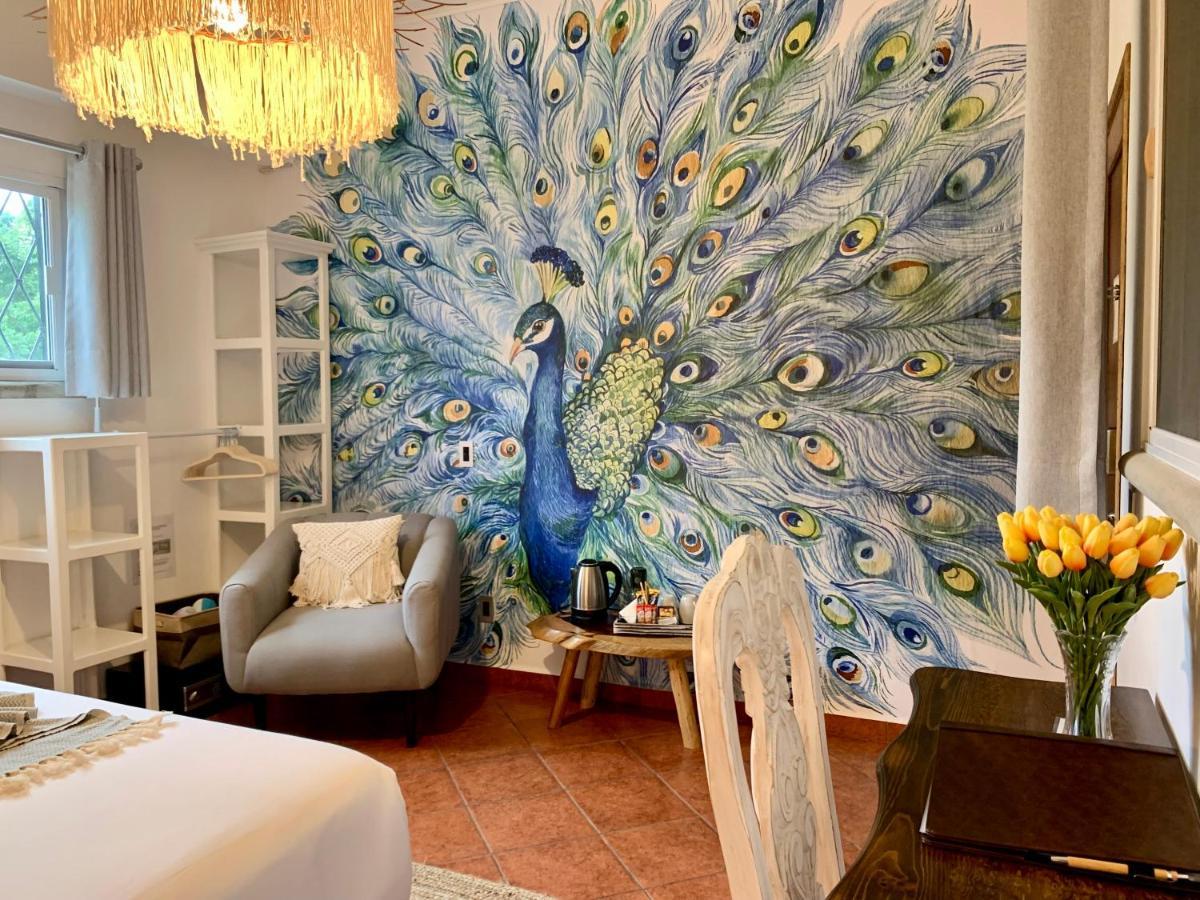 Castillo Inn 4*