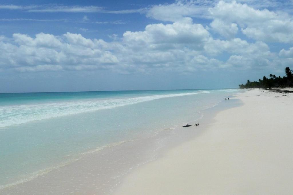 Casa Pelicanos Mx - Next To Zone * Tulum