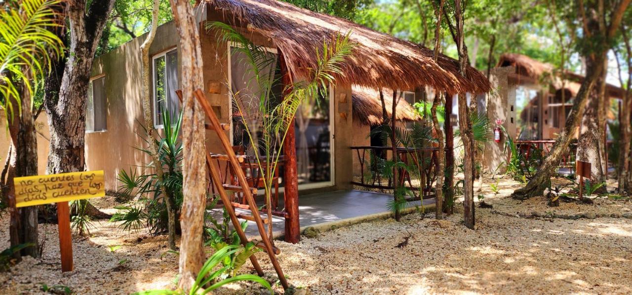 Kin Jungle Deluxe Pensión