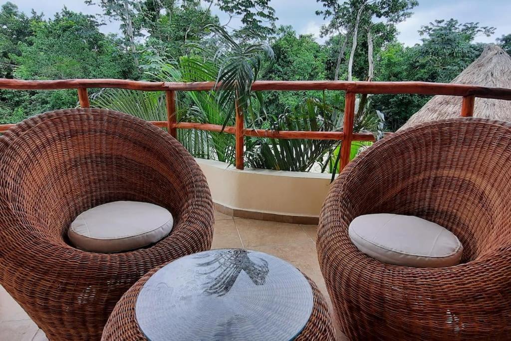 Apartamento Selva 202 Kaax Na Confortable 1bd