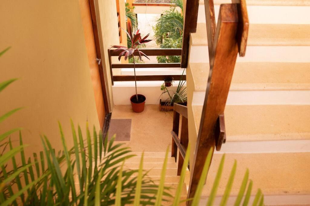 Shiny Casa Cacao/100mbpswifi Tulum