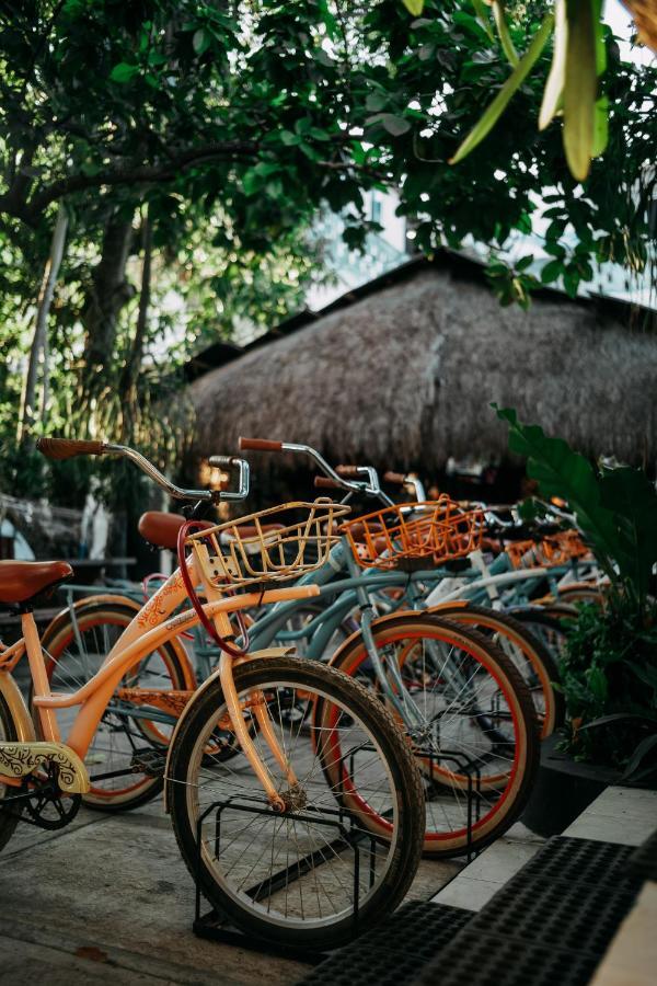 Oryx Hostal *