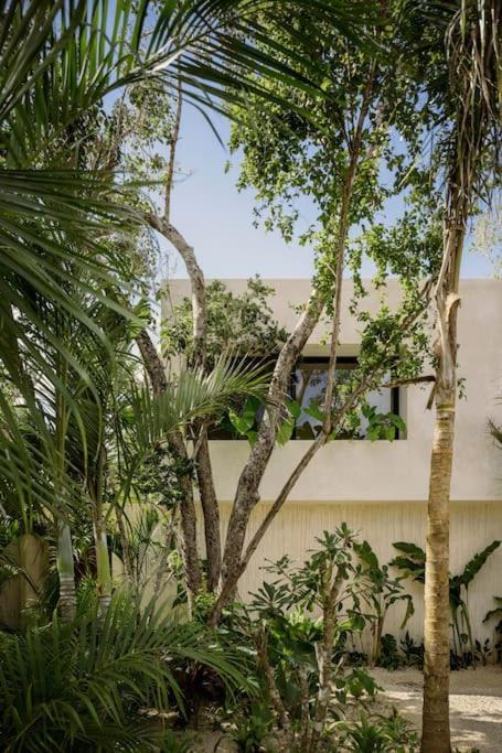 Casa Areca, Awarded Architectural Located In A Secured Gated Community, With Concierge Services
