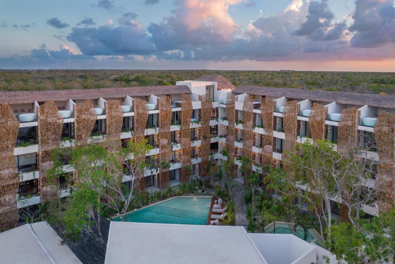 Dk Jade 30 By Sandy Powerful * Tulum