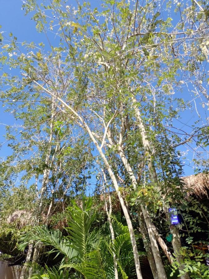 Kinich Ahau Lodge *