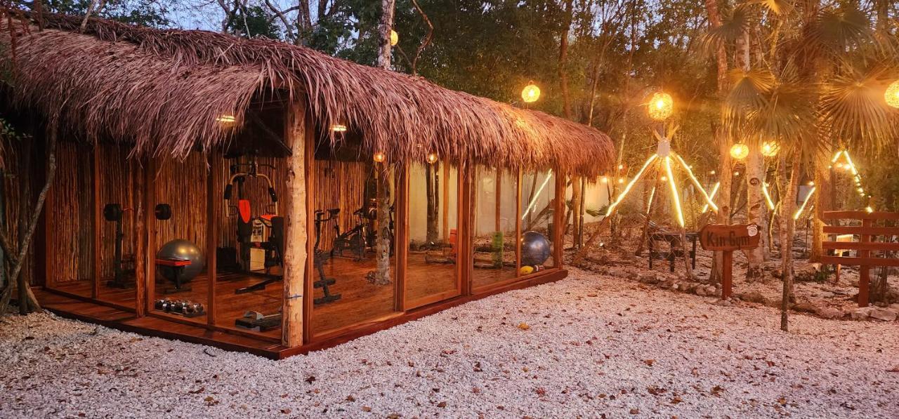 Kin Jungle Deluxe Pensión