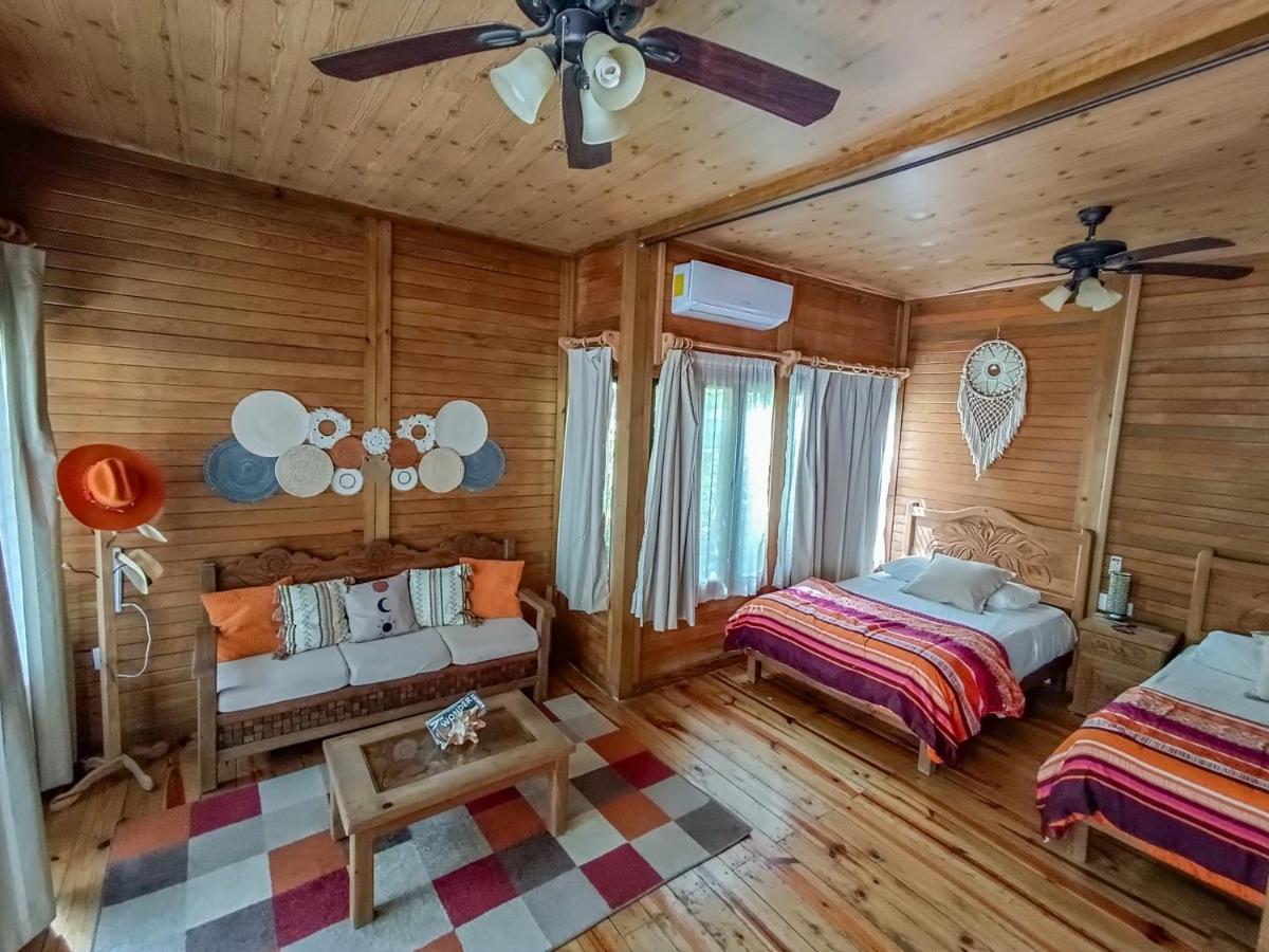 Alicat Villa Tulum