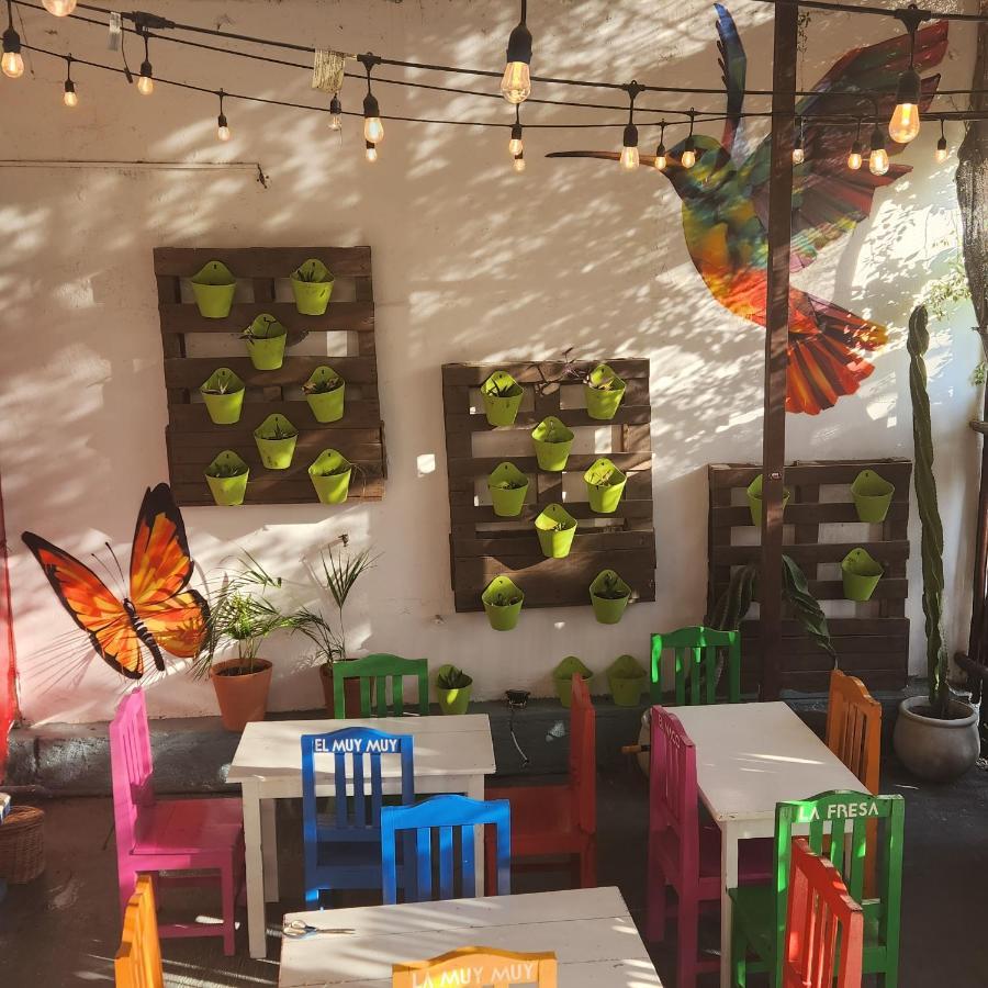 Casa Frida Сasa de vacaciones Tulum