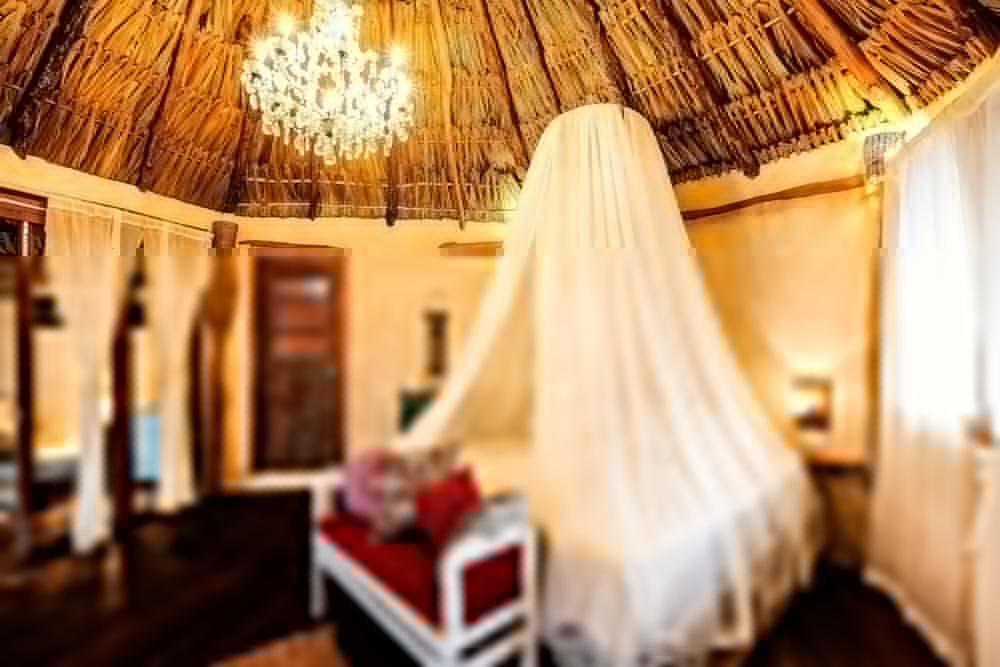 Xscapetulum 4*