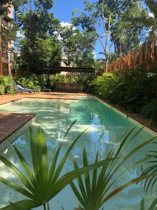 Luxury 2 Bdr 2 Bth 2 Bikes Jacuzzi Fiboptic Wifi. * Tulum