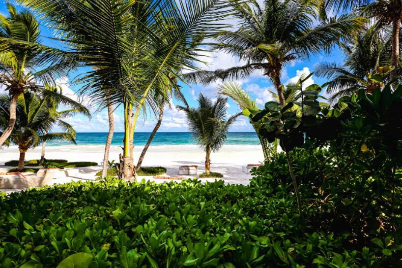 Beachfront In Beach Hotel Tulum