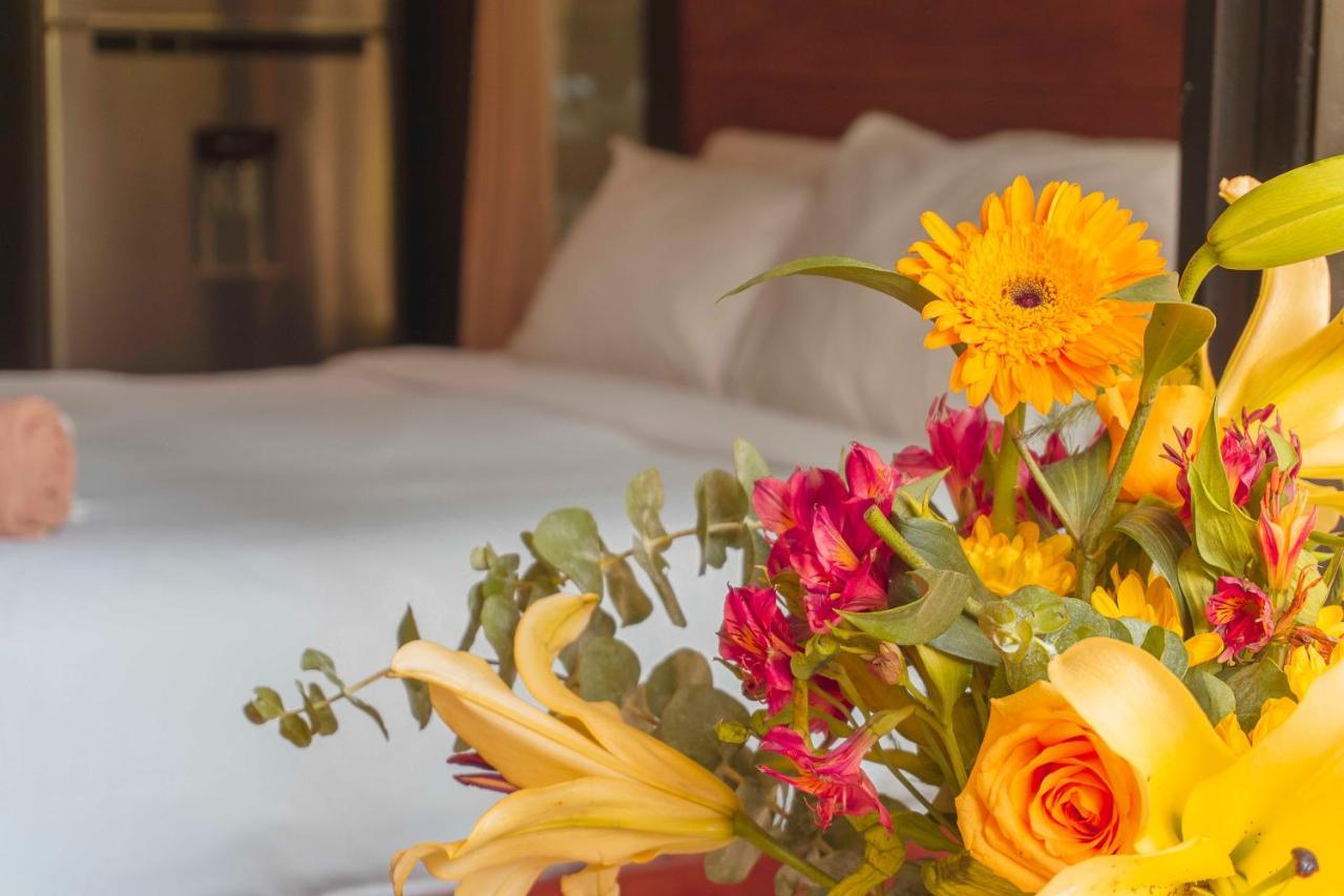 Apartahotel Naats Amigos *