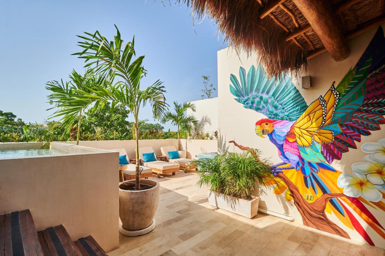 Spacious & Comfy Penthouse Oasis With Plunge Pool Apartamento Tulum
