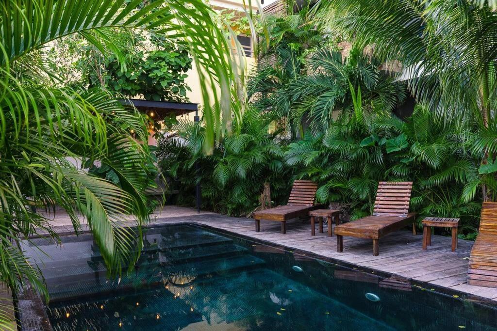 And Relax In The Jungle Of 3001 Apartamento Tulum